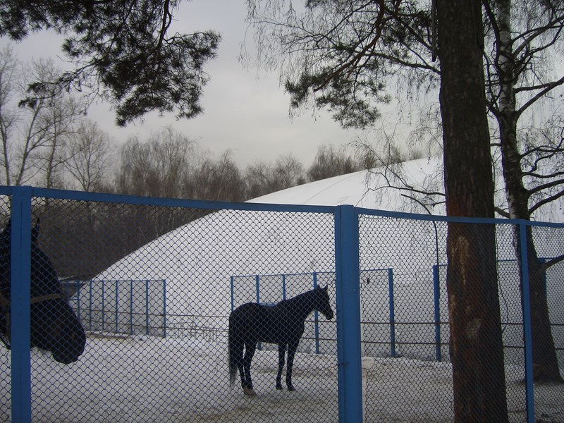 кузьминки
